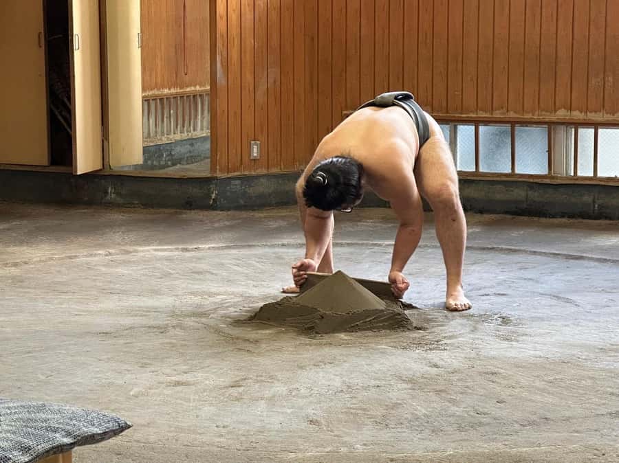 Tokyo: Visit Sumo Morning Practice with English Guide - Booking details and timing