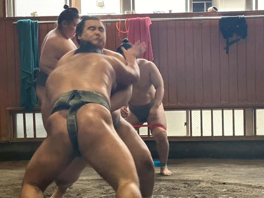 Tokyo: Visit Sumo Morning Practice with English Guide - Inside the stable: 90 to 120 minutes of real training