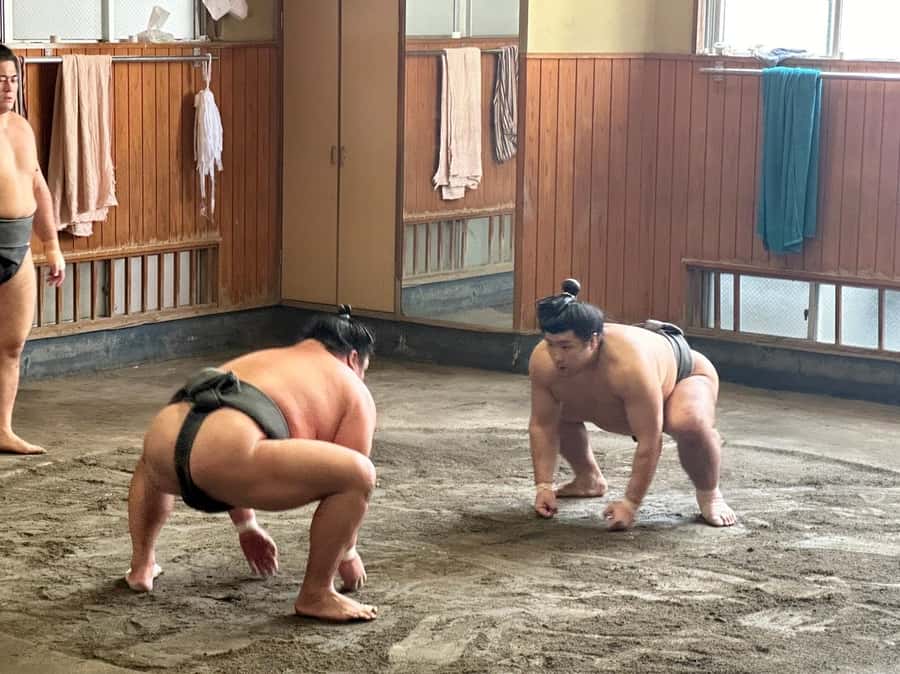 Tokyo: Visit Sumo Morning Practice with English Guide - The rules inside are part of the experience
