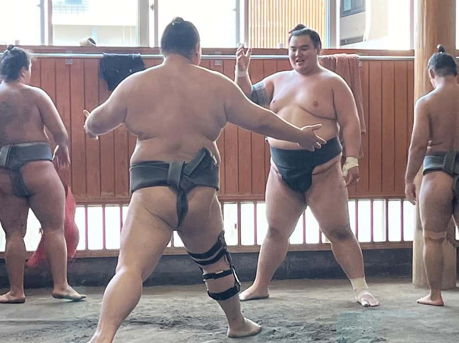 Tokyo: Visit Sumo Morning Practice with English Guide - Seating, heat, and the practical comfort question