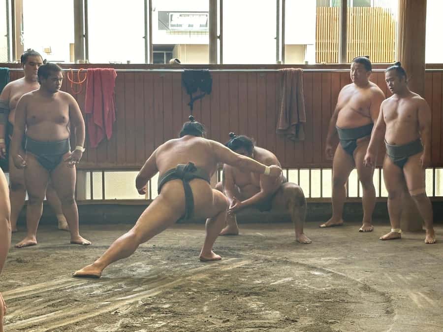 Tokyo: Visit Sumo Morning Practice with English Guide - Who will enjoy this most