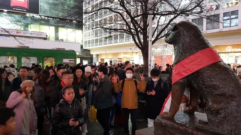 Tokyo Walk through: Shinjuku, Harajuku, Omotesando & Shibuya - Price, group size, and practical value