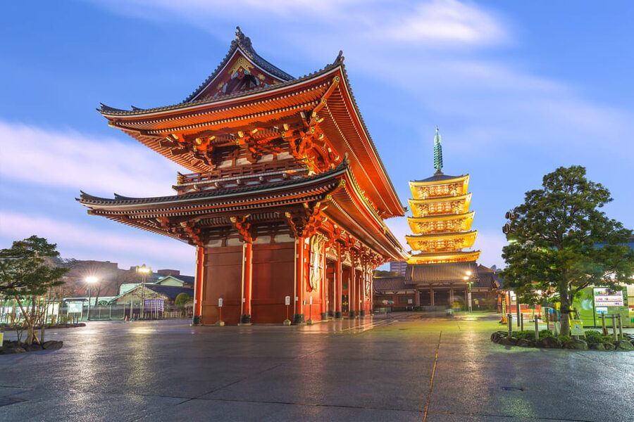 Tokyo: Winter Illuminations Private Tour with a Local - What the $81 price really covers