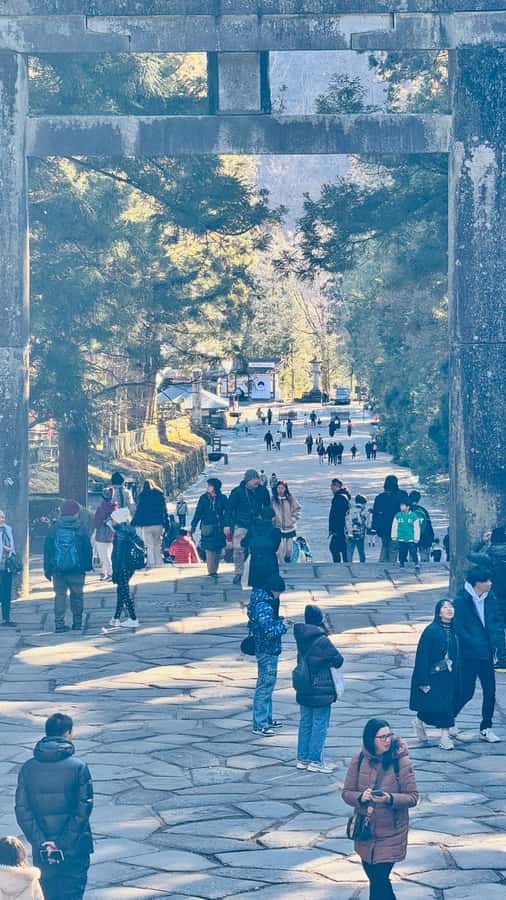 Tokyo/yokohama: Full Day Nikko Private Sightseeing Trip - A 40-minute lunch break in Nikko