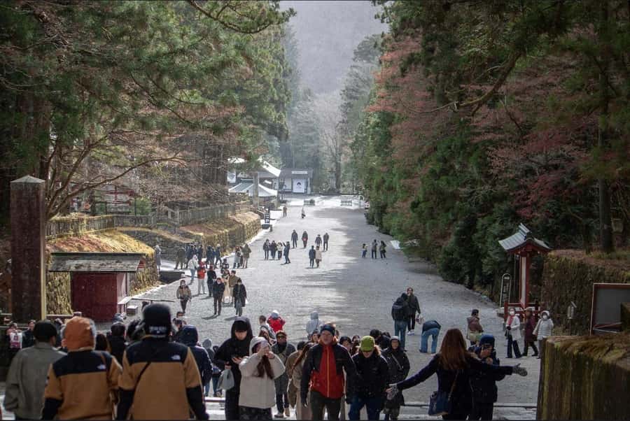Tokyo/yokohama: Full Day Nikko Private Sightseeing Trip - Is $393 good value for up to six people?