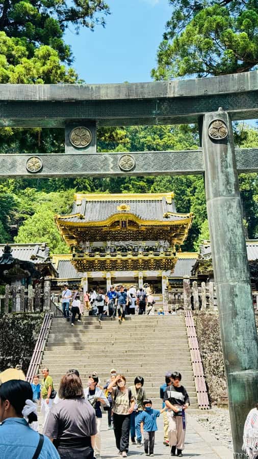 Tokyo/yokohama: Full Day Nikko Private Sightseeing Trip - Who should choose this Nikko day trip?