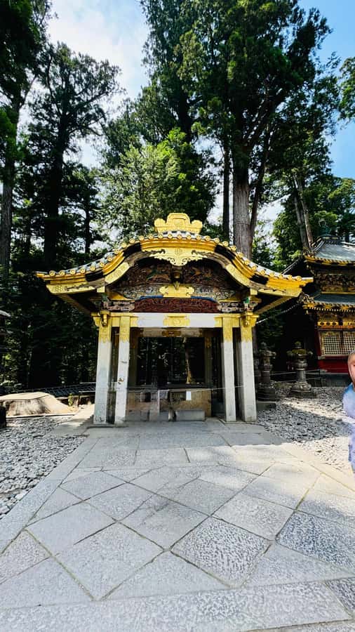 Tokyo/yokohama: Full Day Nikko Private Sightseeing Trip - One hour at Nikko Toshogu Shrine