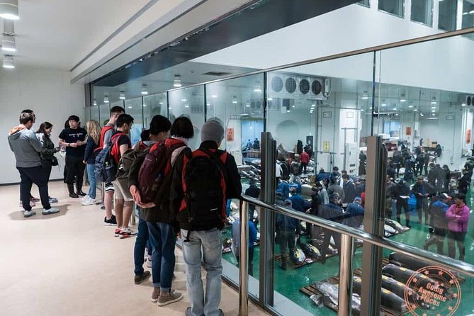 Toyosu Market Morning Tuna Auction and Tsukiji Food Tour with Licensed Guide - What your guide adds to the market visit