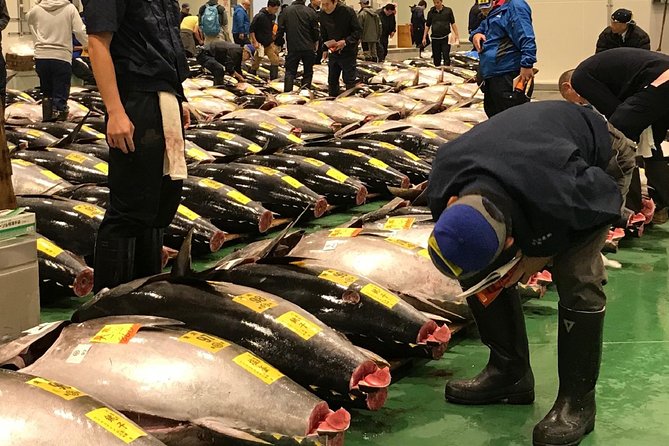 Tuna Auction and Market Tour at 'Activity Maison Kissako' - Seeing the tuna auction from the inside
