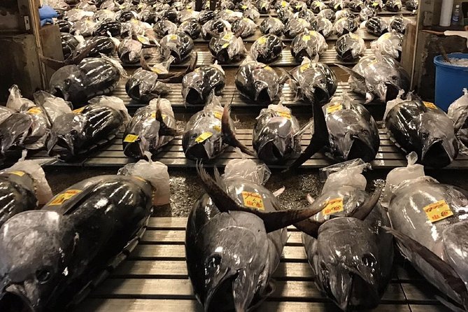Tuna Auction and Market Tour at 'Activity Maison Kissako' - Who will enjoy this early morning tour
