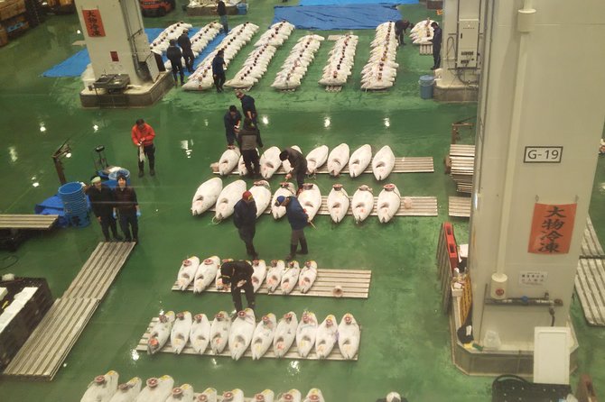 Tuna auction at Toyosu Market with qualified guide and early morning tour of Tsukiji Outer Market - Browsing Tsukiji Outer Market