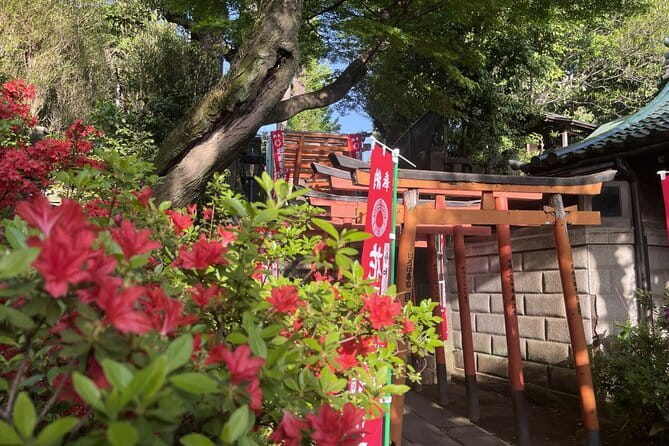 Ueno and Yanaka Culture Art Walking Tour in Old Tokyo - The National Museum of Nature and Science in one focused hour