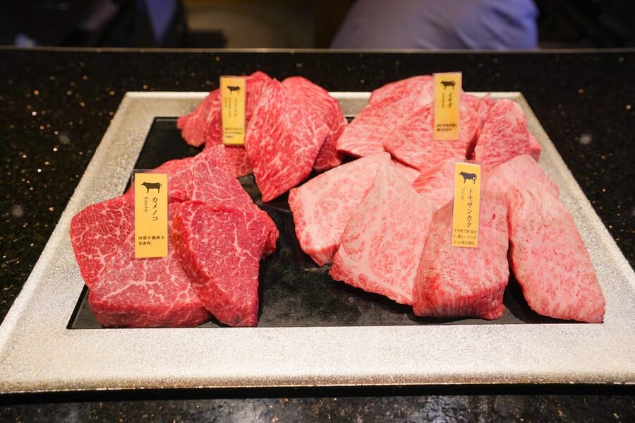 Wagyu Beef & Sake Pairing Foodie Tour in Tokyo - Practical booking advice for Shimbashi and Ginza