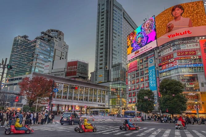 Walk Tokyo's Streets with Tokyo Midtown Tour - Crossing from Midtown to Roppongi Hills
