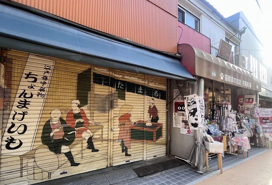 Walking Tour: Yanaka,Nezu& Sendagi: Tea Ceremony & Old Tokyo - Yanaka Cemetery and the old Shitamachi mood