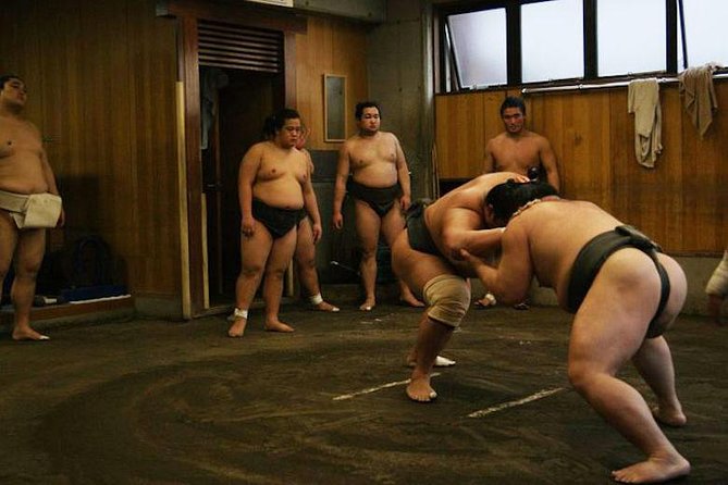 Watch Sumo Morning Practice at Stable in Tokyo - Meeting in Tokyo and reaching the stable