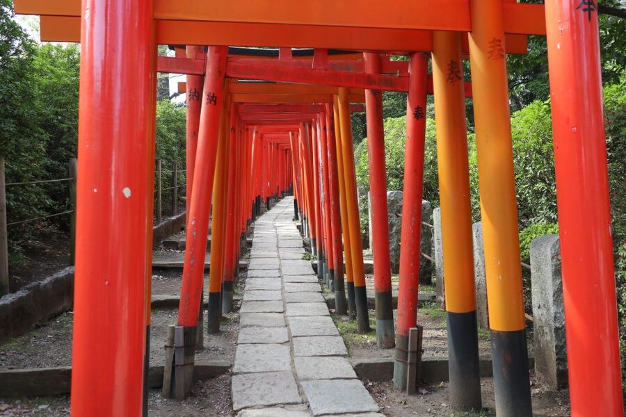 Yanaka District: Historical Walking Tour in Tokyo's Old Town - Nezu Shrine and the meaning of red Torii gates