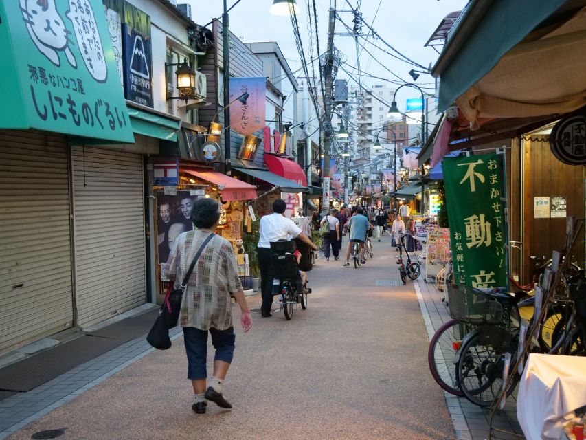 Yanaka District: Historical Walking Tour in Tokyo's Old Town - The 75-minute Maneki neko painting break