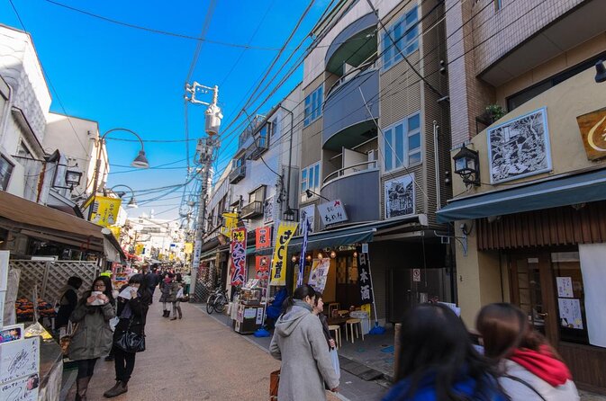 Yanaka Walking Tour: Historic and Traditional District of Tokyo - Key points to know before booking