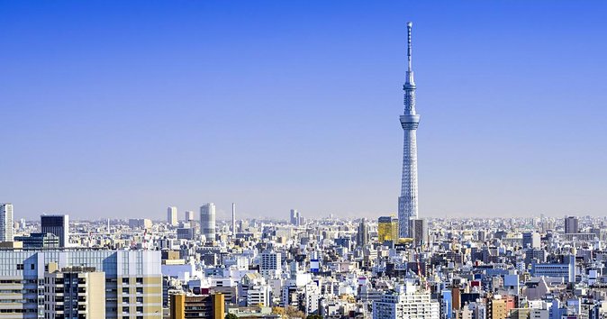 1 Day Charter Tour for Tokyo Sightseeing - Professional Chauffeurs and Vehicles