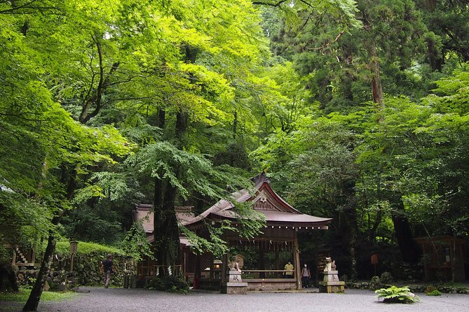 1 Day Hiking Tour in the Mountains of Kyoto - Itinerary Highlights