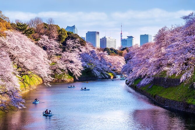 1 Day Private Tokyo Tour With English Speaking Driver - Inclusions