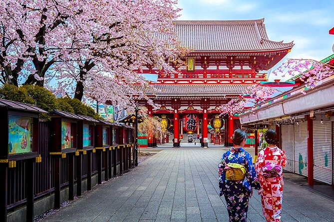 10 Days In-depth Discover Japan Deluxe Tour - Exclusions and Additional Costs