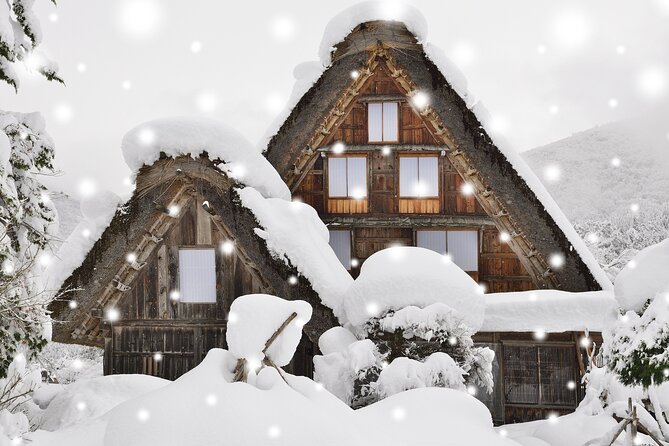 1Day Private Shirakawago and Takayama With Public Bus From Nagoya - Important Notes