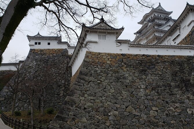 2.5 Hour Private History and Culture Tour in Himeji Castle - Traveler Feedback