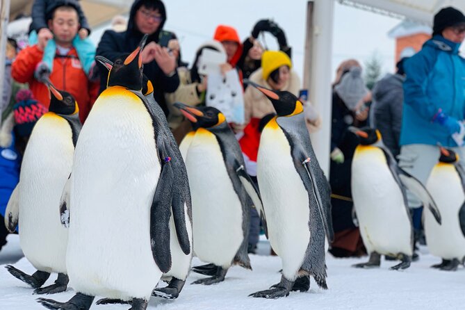 2 Day Tour to Icebreaker Mombetsu and Asahiyama Zoo in Hokkaido - Icebreaker Mombetsu Experience