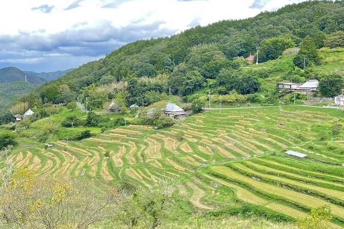 2 Days Private Farm Tour in Okayama - Farm Activities