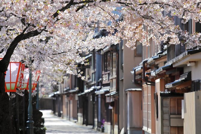 4 Hour Unique Kanazawa Cherry Blossom Sakura Private Experience - Meeting Point and End Point