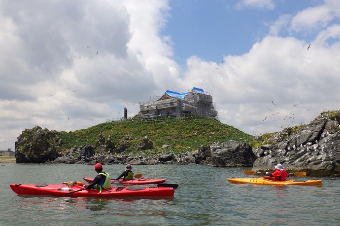 A Sea Kayak Tour of Kabushima Island, the Home of 30,000 Black-Tailed Gulls - Tour Provider and Meeting Point