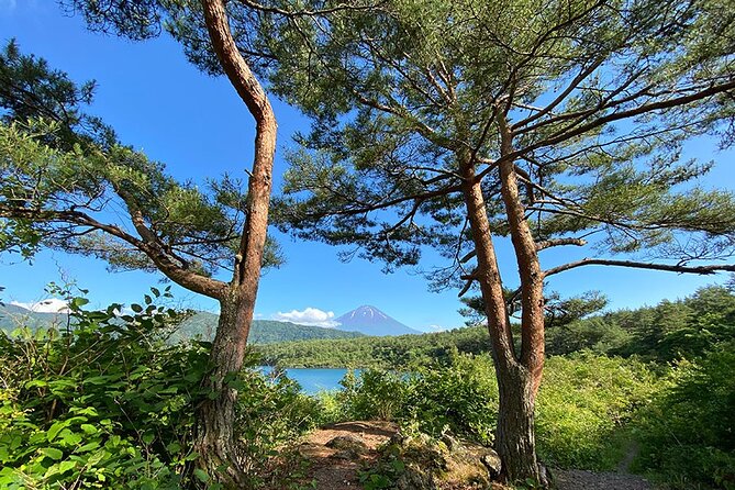 Aokigahara Nature Conservation Full-Day Hiking Tour - Meeting and Pickup Details