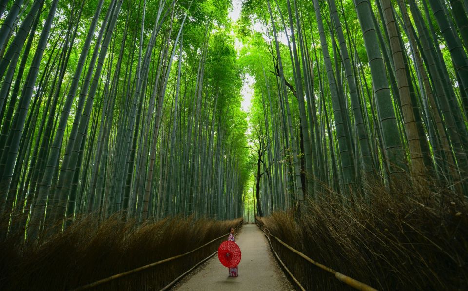 Arashiyama: Self-Guided Audio Tour Through History & Nature - Experience Highlights