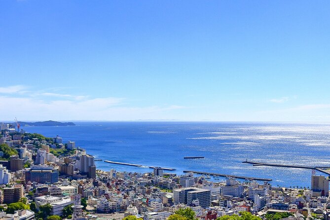 Atami Half-Day Private Tour With Government-Licensed Guide - Pickup Information