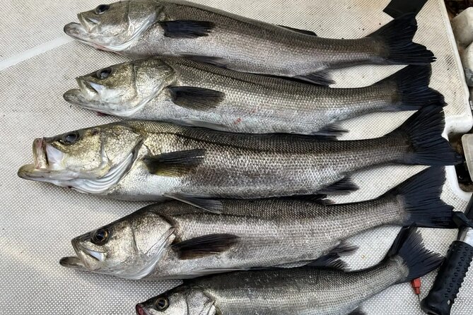 Boat Fishing Activity in Central Tokyo - Meeting and Pickup