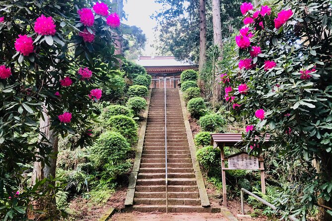 Buddha, Bamboo & Zen - Bespoke Kamakura Private Walking Tours - What To Expect