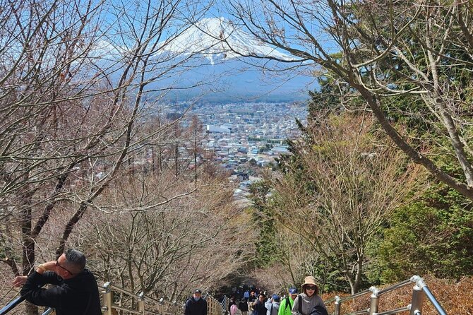 Day Private Tour of Hakone With English Speaking Driver - Additional Tour Details