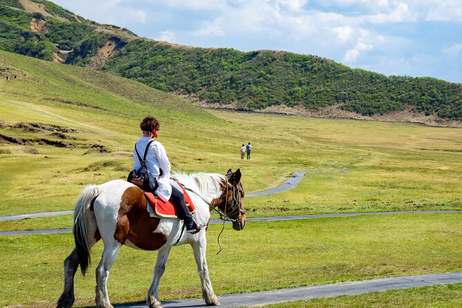 Day Trip Charter Bus Tour to Great Nature Mt.Aso From Fukuoka - Additional Information