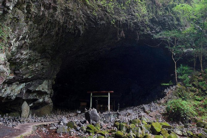 Day Trip Charter Bus Tour to Mythical Takachiho From Fukuoka - Pickup and Meeting Details