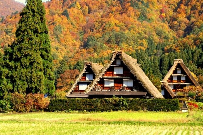 Day Trip for Shirakawago ,Takayama & Gujo Hachiman From Nagoya - Meeting Point and Departure Details