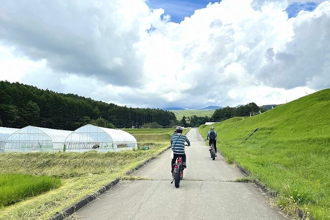 E-Bike Tour Through Forests and Springs on a 1000m Plateau - Expectations and Restrictions