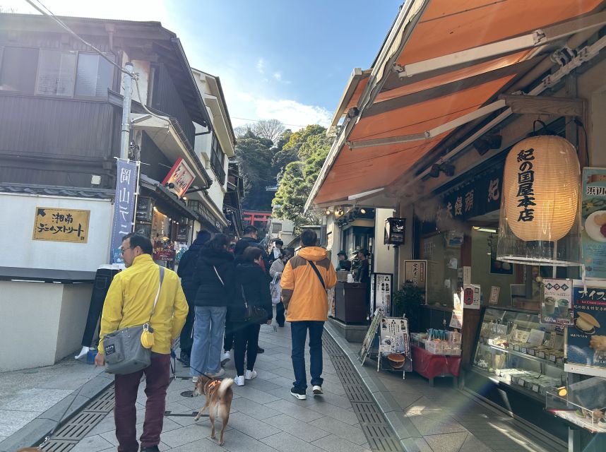 Enoshima: Highlights Walking Tour With Local Guide - Activity Itinerary