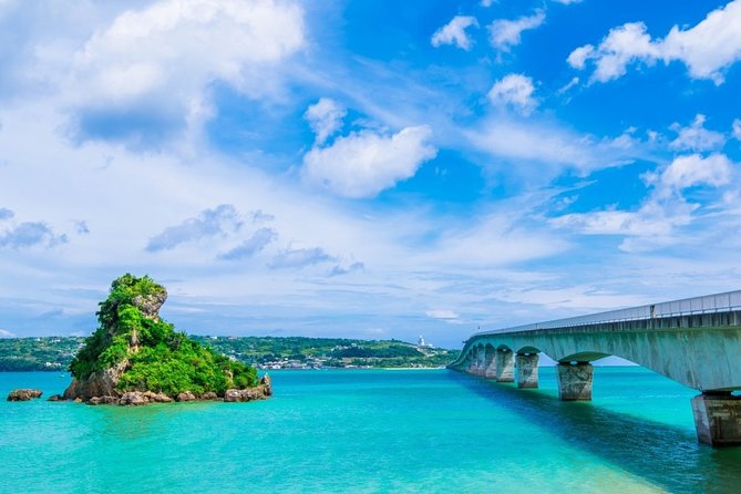 Explore Okinawa With Private Alphard Car Hire With Simple English Driver - Customer Reviews