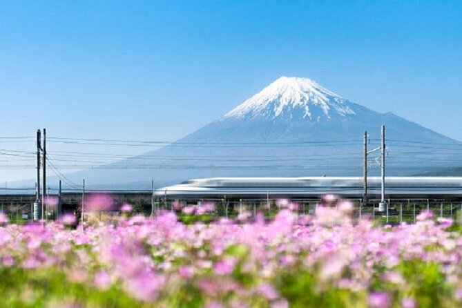 Feel Mt Fuji and Sake Tasting Private Tour From Shin Fuji Station - Additional Info