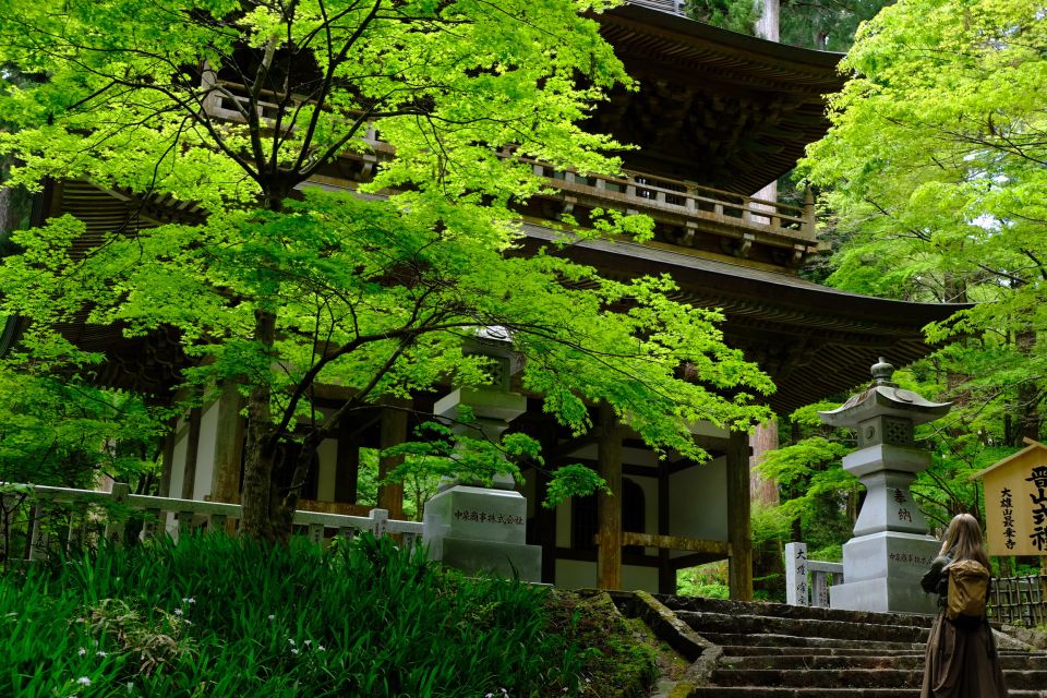 Fm Odawara: Forest Bathing and Onsen With Healing Power - Tour Inclusions