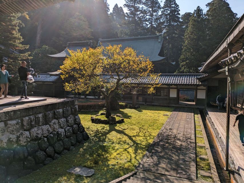 From Kanazawa: Eiheiji Buddhist Temple & Fukui Castle Town - Highlights