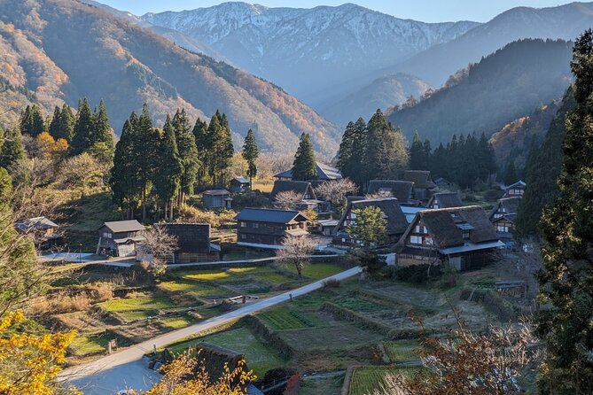 From Kanazawa: Shirakawa-go, Gokayama and Wood Carving Village - Cultural Experiences