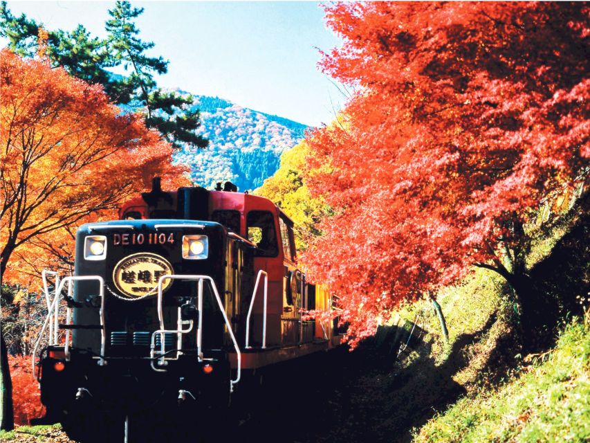 From Kyoto: Sagano Train Ride and Guided Kyoto Day Tour - Itinerary